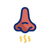 Eliminates Odor